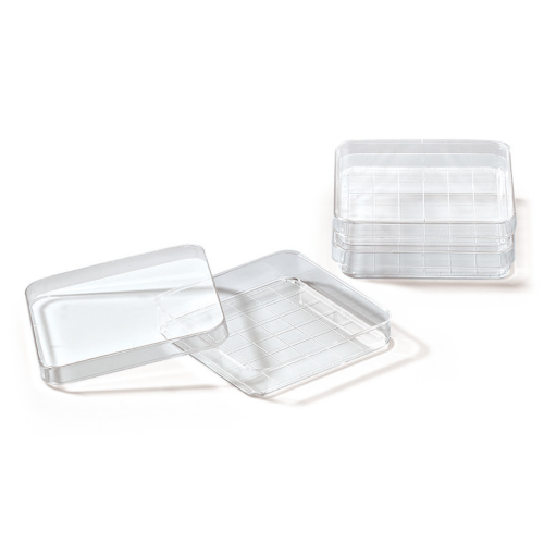 Online Shop for Sterile Disposable Plastic Petri Dishes in Various Sizes: 90x15mm, 60mm, 35mm, and 150mm